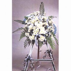 Condolence Floral Stand of Daisies